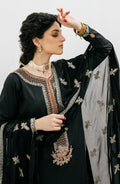 Emaan Adeel | Gul Mohr Eid Pret | MAHLAKA - Pakistani Clothes for women, in United Kingdom and United States