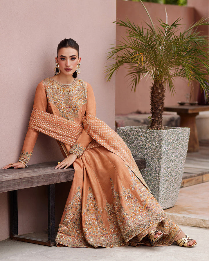 Faiza Saqlain | Aurnia Spring Festive Edit 24 | Dalisay - Pakistani Clothes for women, in United Kingdom and United States