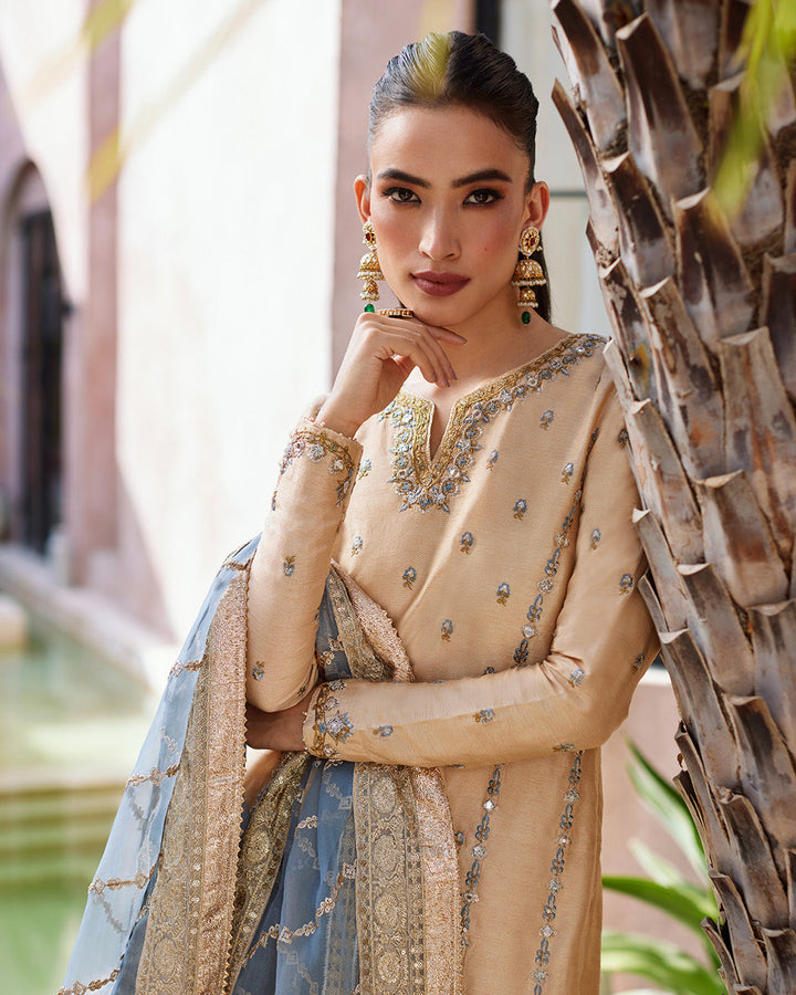 Faiza Saqlain | Aurnia Spring Festive Edit 24 | Yelena - Pakistani Clothes for women, in United Kingdom and United States