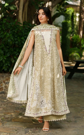 Asifa and Nabeel | Meraki Winter 25 | Frozen Dew