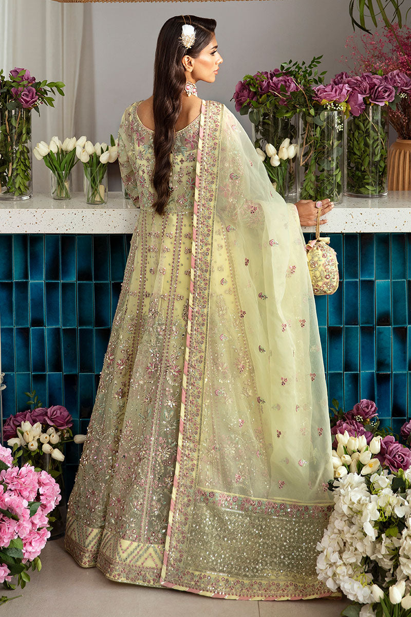 Gulaal | Emalyn Luxury Formals | NOURA