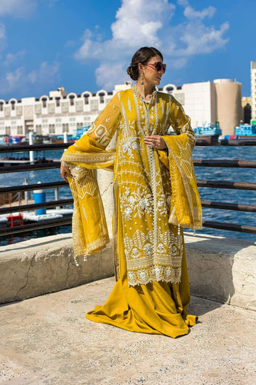 Kara | Kamdani Festive Collection | Glowing Aura