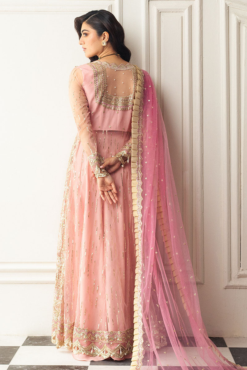 Mushq | Hemline Aura Debut Wedding Formals | AMARANTH