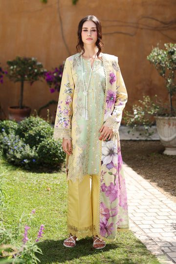 Rangrasiya | Lifestyle Summer 26 | Hazel