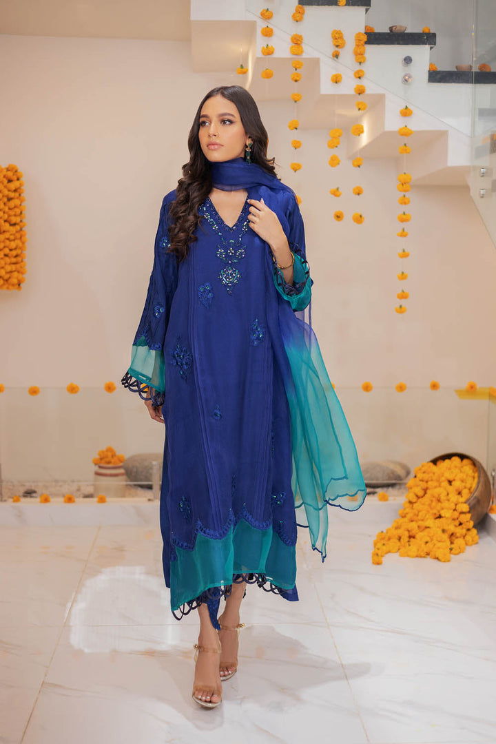 Hue Pret | Zara Suno Collection | NAINAH - Pakistani Clothes for women, in United Kingdom and United States