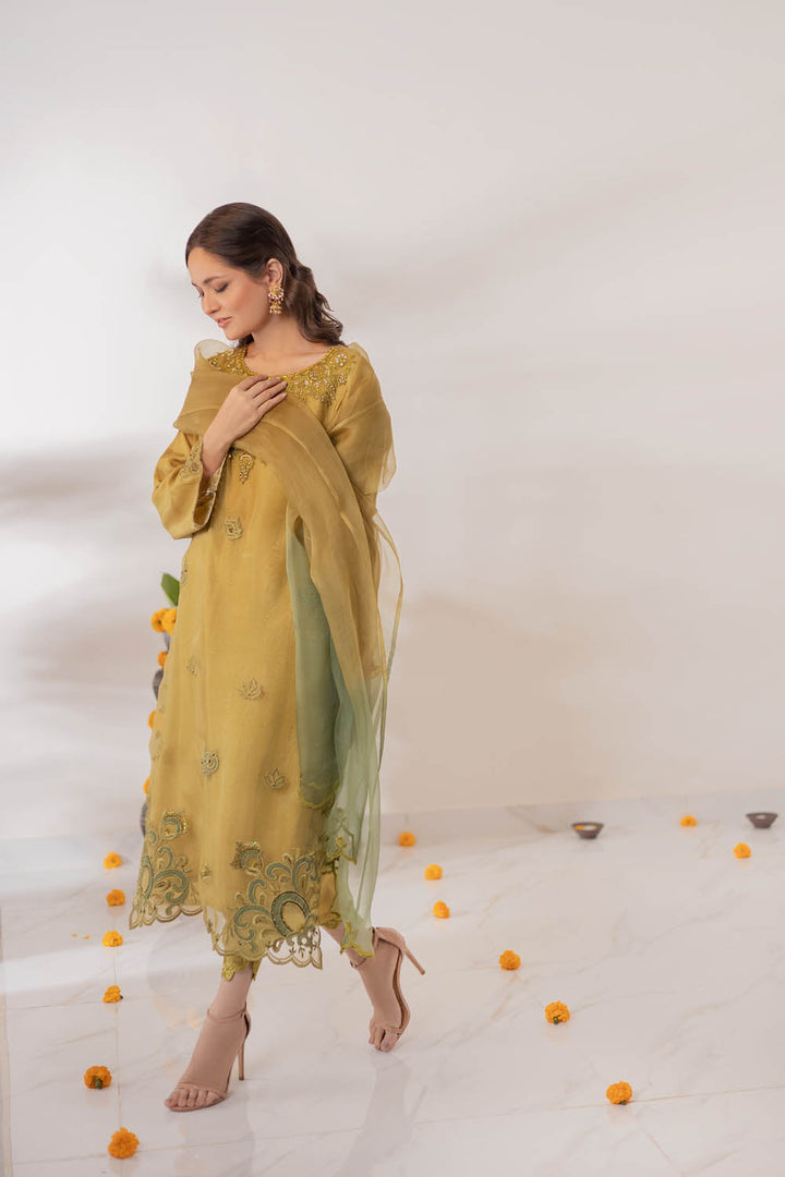 Hue Pret | Zara Suno Collection | ARZO - Pakistani Clothes for women, in United Kingdom and United States