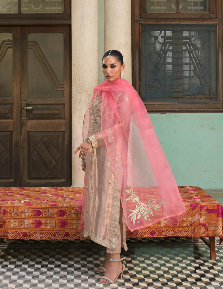 Hue Pret | Arth Festive Collection | VIRSA - Pakistani Clothes for women, in United Kingdom and United States