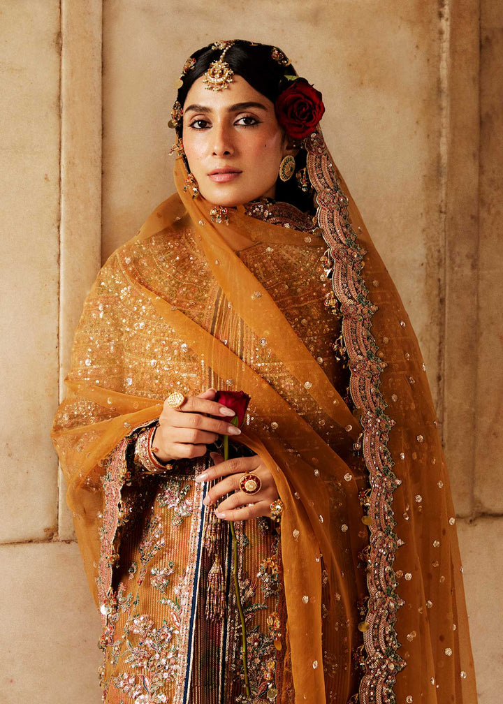 Hussain Rehar | Luxury Festive FW/24 | Zareena - Pakistani Clothes for women, in United Kingdom and United States