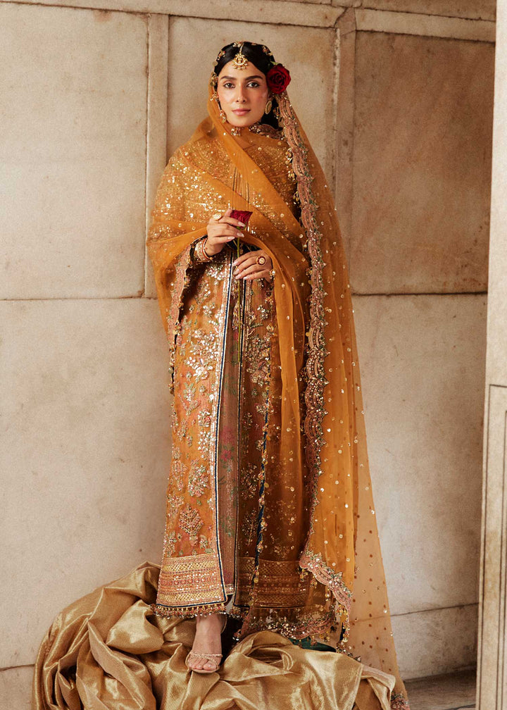 Hussain Rehar | Luxury Festive FW/24 | Zareena - Pakistani Clothes for women, in United Kingdom and United States