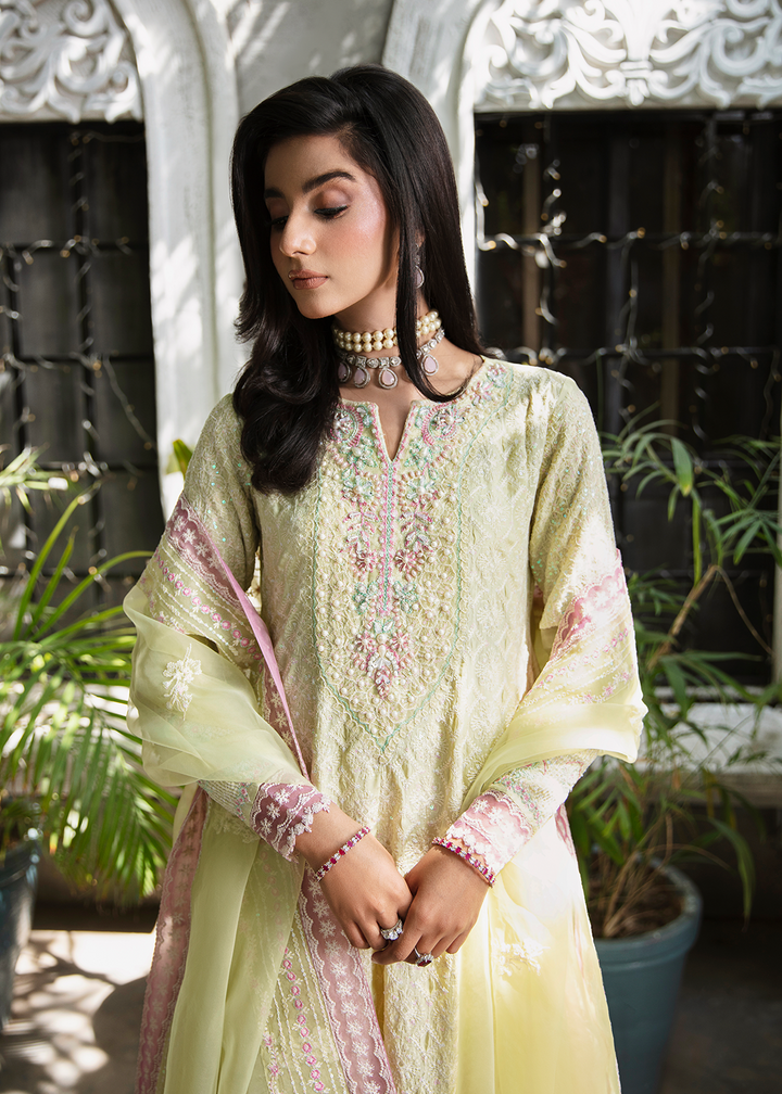 Maria Osama Khan | Rang e Noor Eid Edit | Nargis - Pakistani Clothes for women, in United Kingdom and United States