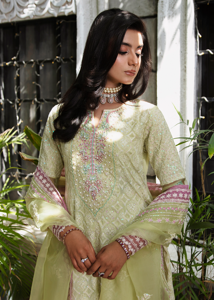 Maria Osama Khan | Rang e Noor Eid Edit | Nargis - Pakistani Clothes for women, in United Kingdom and United States