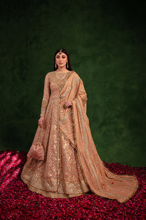Maria Osama Khan | Salma Sitara |  VASL - Hoorain Designer Wear - Pakistani Ladies Branded Stitched Clothes in United Kingdom, United states, CA and Australia