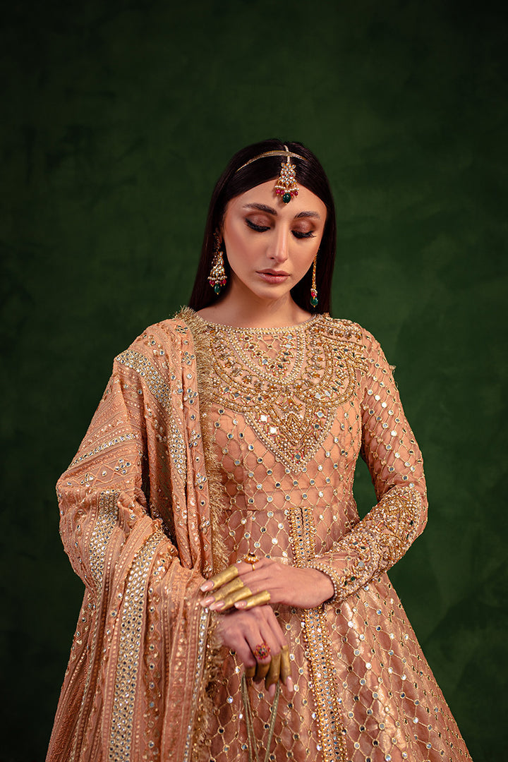 Maria Osama Khan | Salma Sitara |  VASL - Hoorain Designer Wear - Pakistani Ladies Branded Stitched Clothes in United Kingdom, United states, CA and Australia
