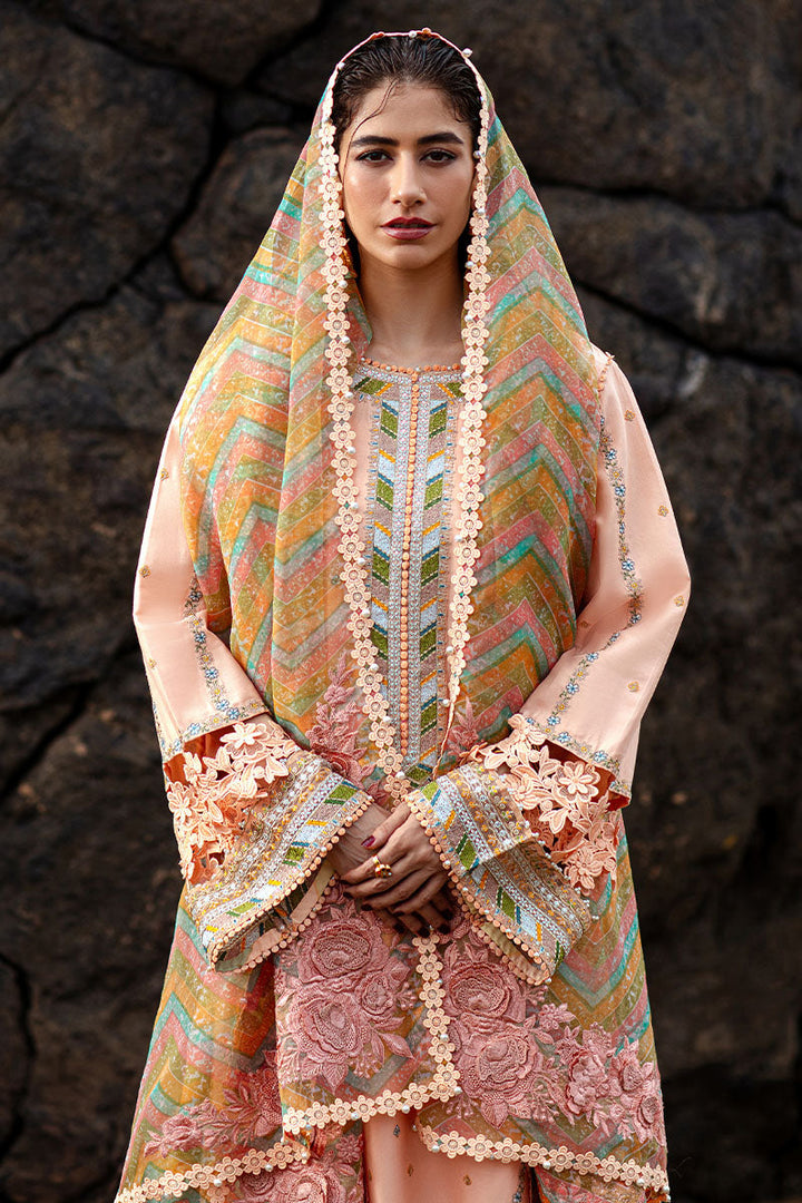 MNR | Festive Lawn 24 | RANI - Pakistani Clothes for women, in United Kingdom and United States