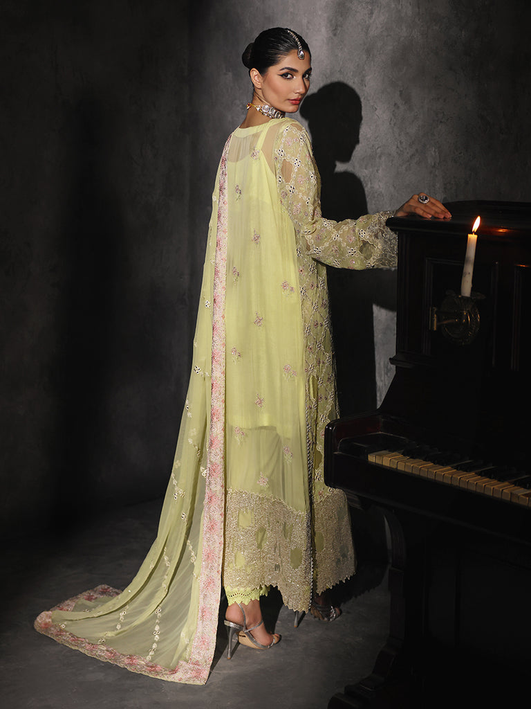 Rajbari | Sage Chiffon Edit | Ivy