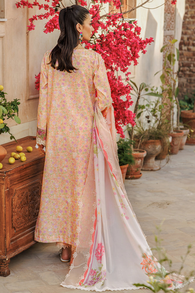 Rajbari | Amali Festive Lawn | 5-B - Pakistani Clothes for women, in United Kingdom and United States