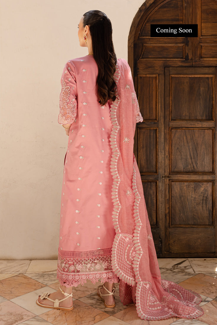 Marjjan | Ruhi Embroidered Lawn |MLL-02 B