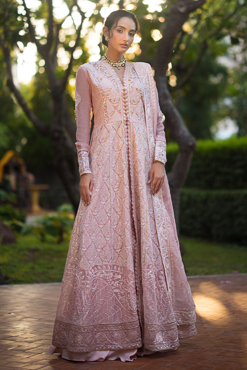 Mushq | Roohi Luxury Collection | AANYA