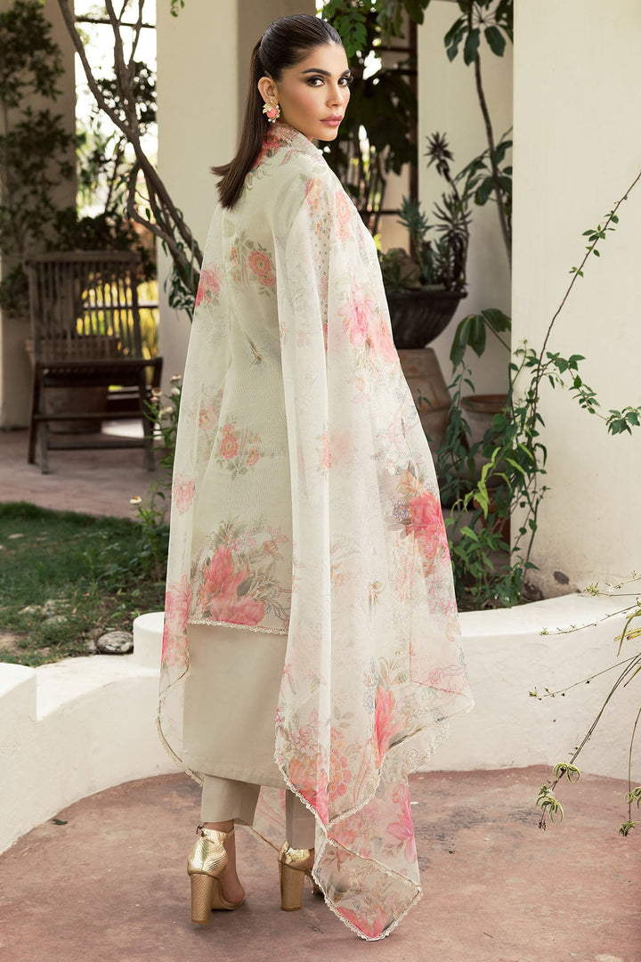 Motifz | Summer Lawn 24 | 4706 - Pakistani Clothes for women, in United Kingdom and United States