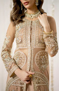 Maryum N Maria | Alaia Wedding Formals | Celine-MW23-529 - Pakistani Clothes for women, in United Kingdom and United States