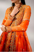 Maryum N Maria | Alaia Wedding Formals | Daphne-MW23-525 - Pakistani Clothes for women, in United Kingdom and United States