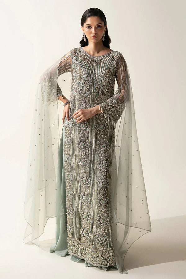 Pakistani luxury dresses hot sale