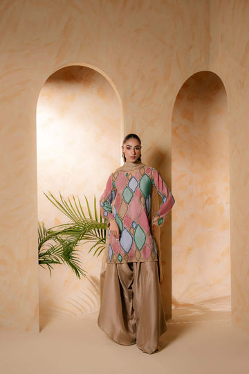 Sammy K | Daisy Drizzle | Rainbow Rose