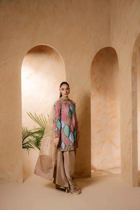 Sammy K | Daisy Drizzle | Rainbow Rose