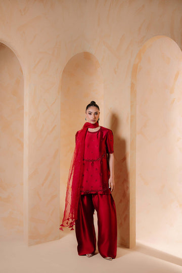 Sammy K | Daisy Drizzle | Zinnia