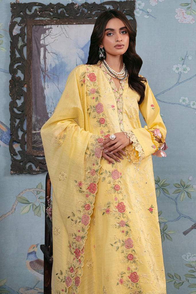 Rajbari | Chikankari Edition 24 | RJB-12 - Hoorain Designer Wear - Pakistani Ladies Branded Stitched Clothes in United Kingdom, United states, CA and Australia