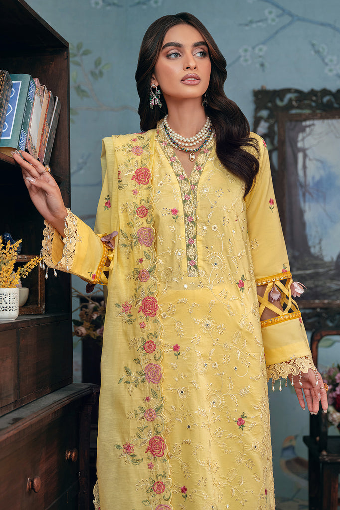 Rajbari | Chikankari Edition 24 | RJB-12 - Pakistani Clothes for women, in United Kingdom and United States