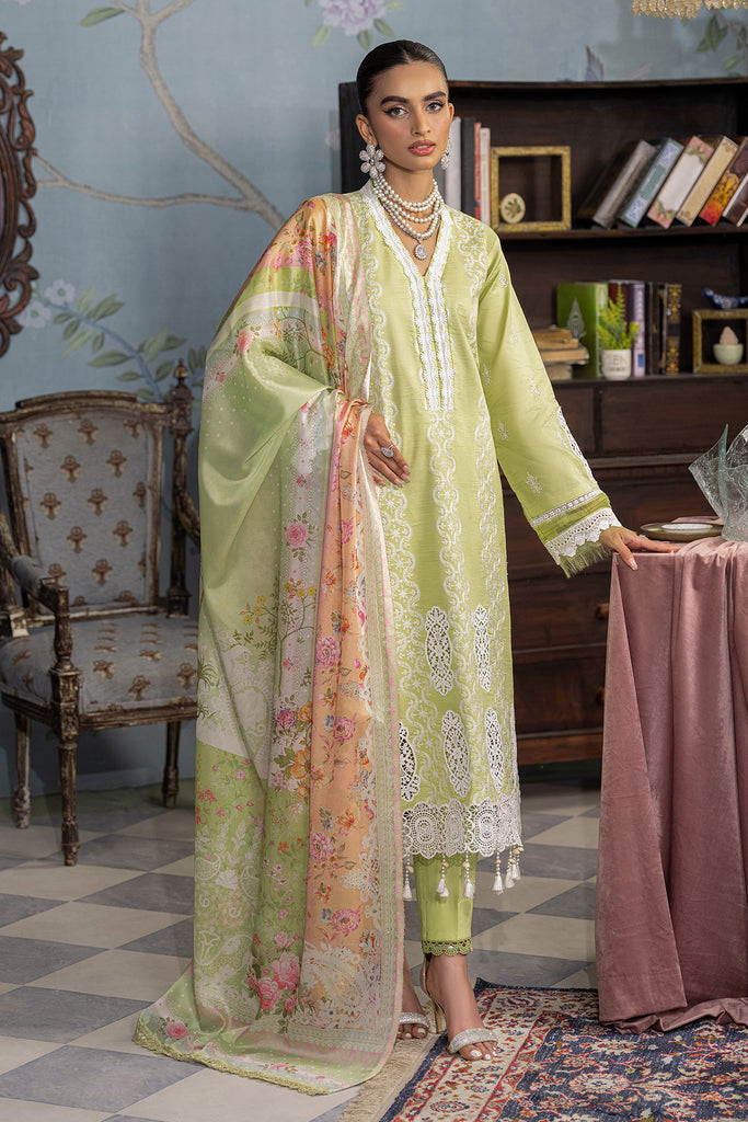 Rajbari | Chikankari Edition 24 | RJB-11 - Pakistani Clothes for women, in United Kingdom and United States