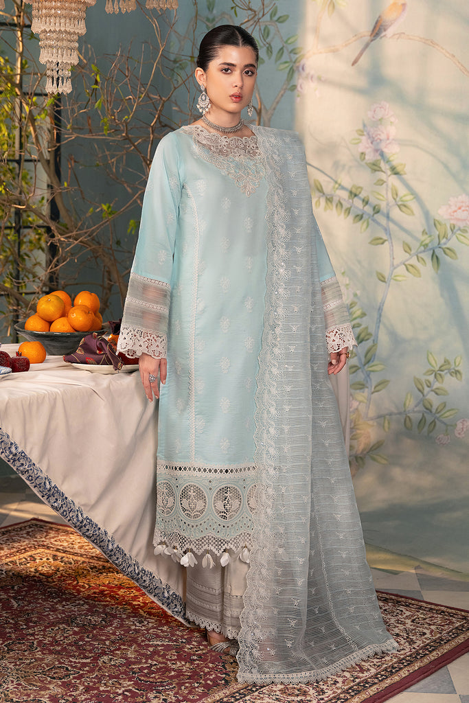 Rajbari | Chikankari Edition 24 | RJB-05 - Pakistani Clothes for women, in United Kingdom and United States