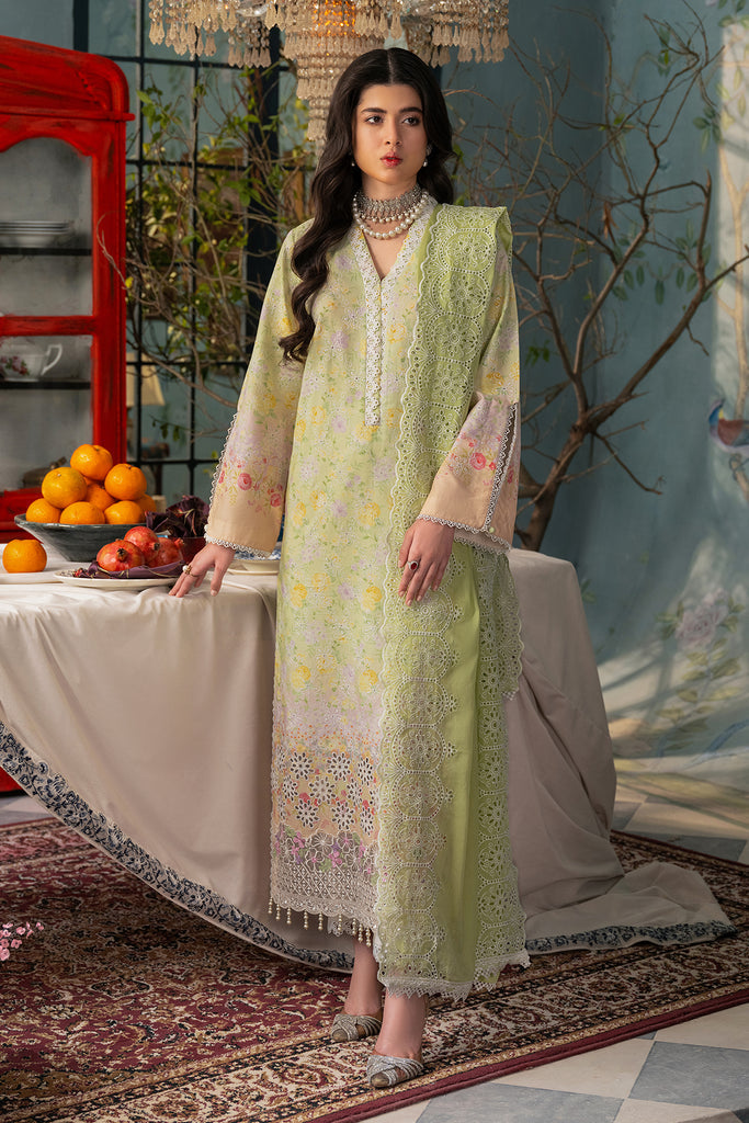 Rajbari | Chikankari Edition 24 | RJB-07 - Pakistani Clothes for women, in United Kingdom and United States