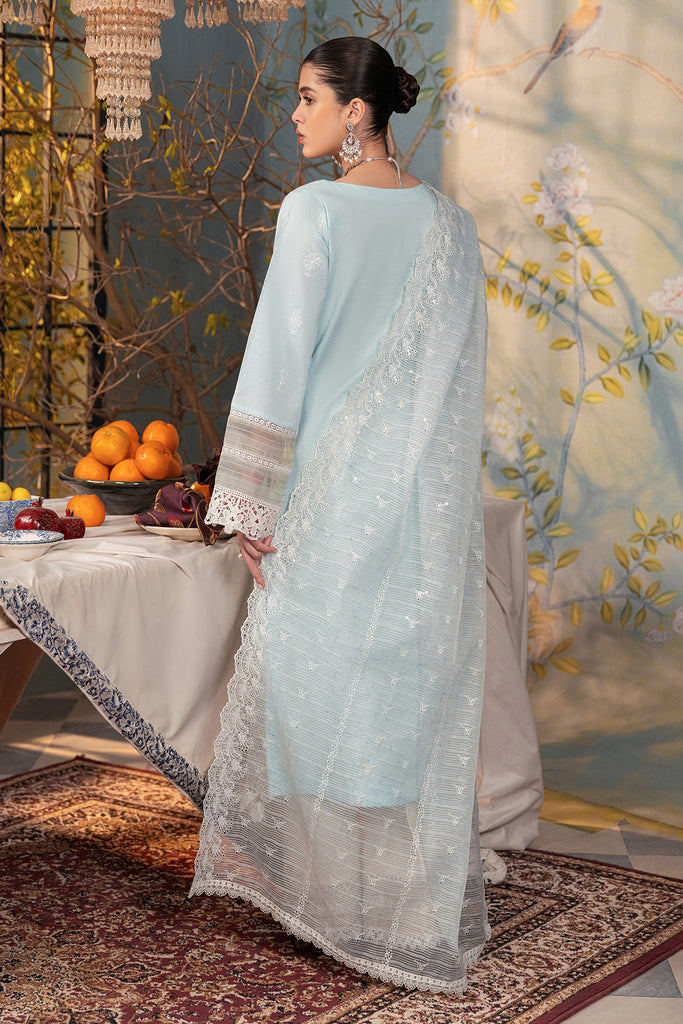 Rajbari | Chikankari Edition 24 | RJB-05 - Hoorain Designer Wear - Pakistani Designer Clothes for women, in United Kingdom, United states, CA and Australia