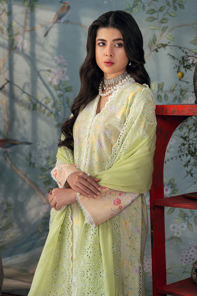 Rajbari | Chikankari Edition 24 | RJB-07 - Pakistani Clothes for women, in United Kingdom and United States