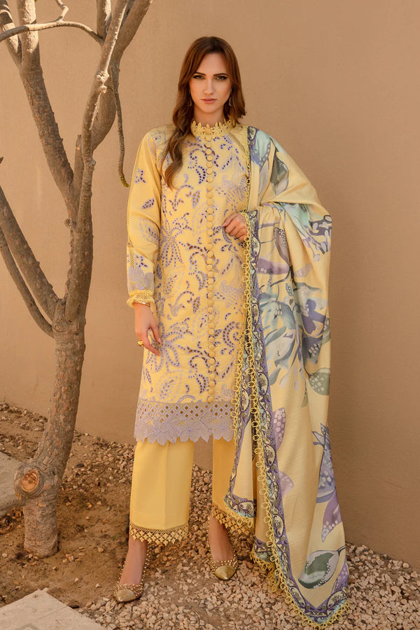 Rangrasiya | Carnation Summer 24 | Iris - Hoorain Designer Wear - Pakistani Ladies Branded Stitched Clothes in United Kingdom, United states, CA and Australia