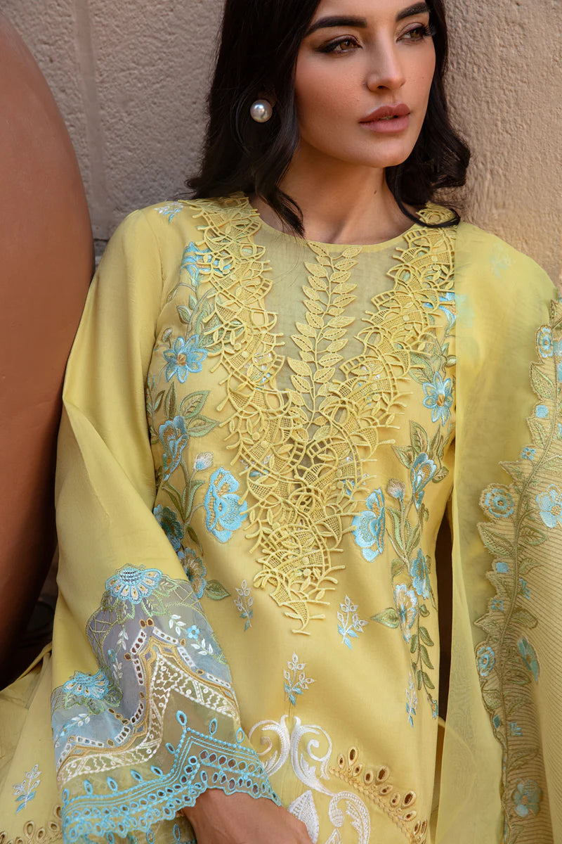 Rangrasiya | Premium Lawn 24 | Amani - Pakistani Clothes for women, in United Kingdom and United States