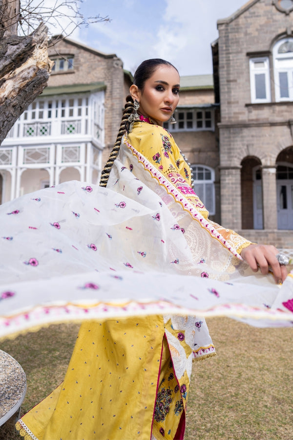 Ittehad | Hussan e Jahan Lawn | ORGANZA DUPATTA X02 - Pakistani Clothes for women, in United Kingdom and United States