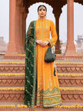 Salitex | Luxury Wear 24 | Suraj Mukhi - Pakistani Clothes for women, in United Kingdom and United States