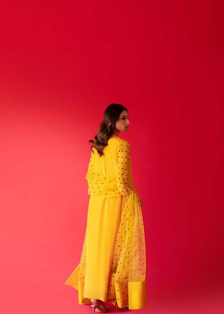 Sammy K | Taara Collection | SITARA - Hoorain Designer Wear - Pakistani Ladies Branded Stitched Clothes in United Kingdom, United states, CA and Australia