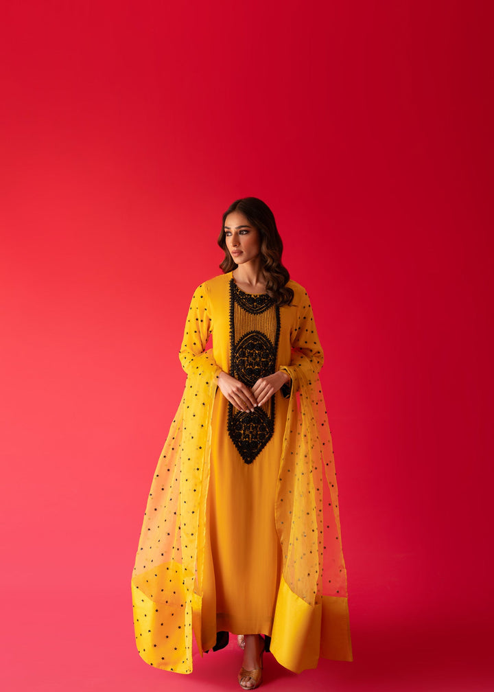 Sammy K | Taara Collection | SITARA - Hoorain Designer Wear - Pakistani Ladies Branded Stitched Clothes in United Kingdom, United states, CA and Australia
