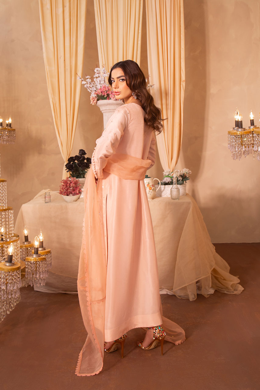 Leon | Leon Luxe Collection | AMANI - Pakistani Clothes for women, in United Kingdom and United States