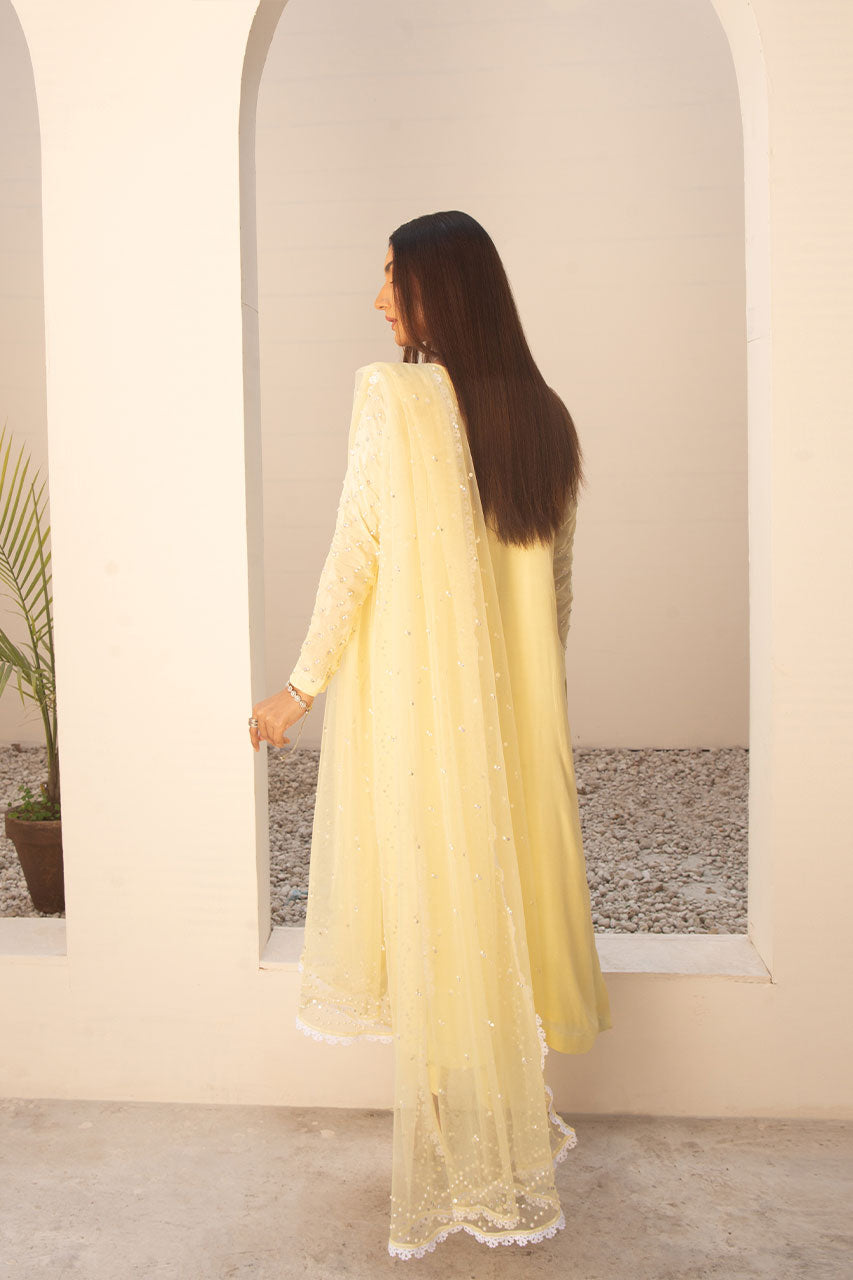 Leon | Leon Luxe Collection | SITARA LIME - Pakistani Clothes for women, in United Kingdom and United States