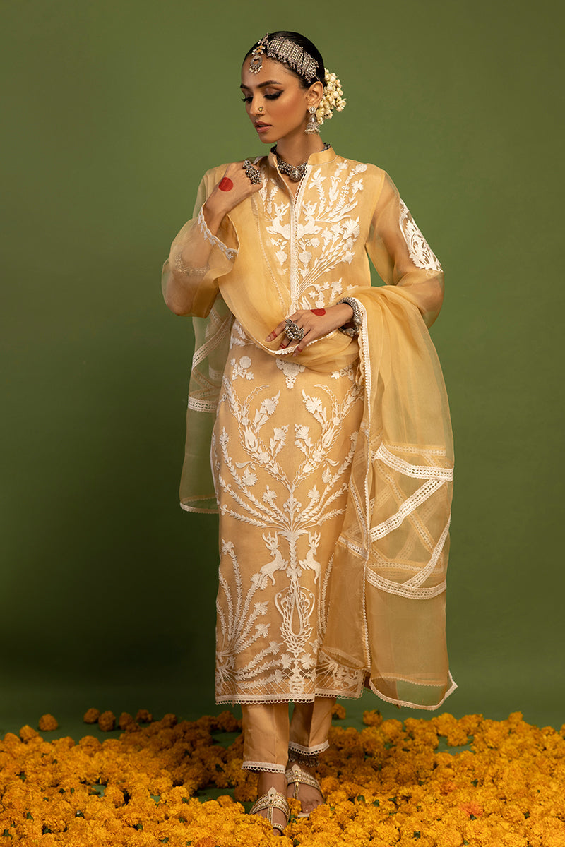 Wardha Saleem | Luxury Pret Traditional Wear | SHIKAR GAH - AARI WORK (2 PC)