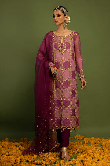 Wardha Saleem | Luxury Pret Traditional Wear | SARAAB - PLUM HEAVY (2 PC)