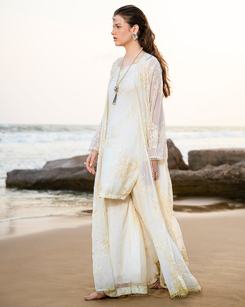 Ain | Leher Formal Luxury 25 | AN-133