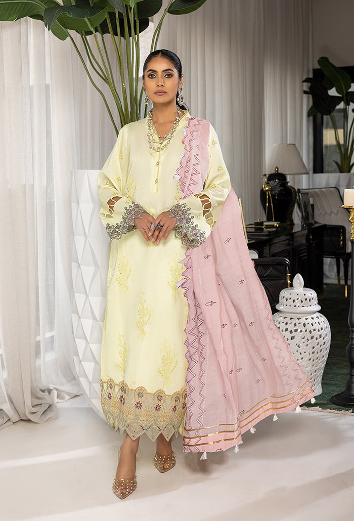 Humdum | Charlotte Chikankari  Lawn | D06 - Pakistani Clothes for women, in United Kingdom and United States