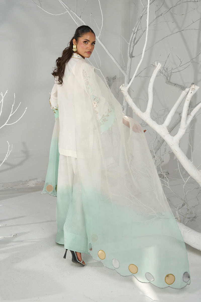 Wardha Saleem | Zimal Silk Edit | Saha