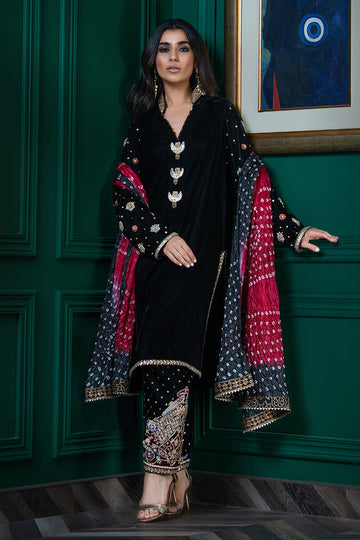 Wardha Saleem | Velvets Winter Fall 24 |   Parvaz